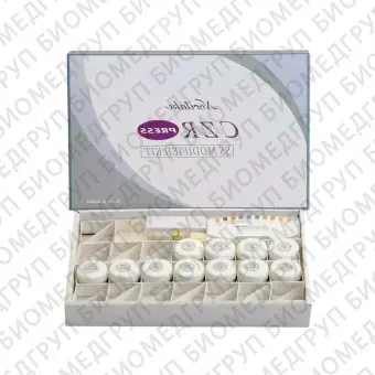 CZR Press SS Modifier Kit набор модификаторов красителей