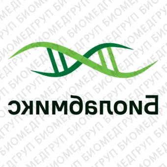 2Х смесь БиоМастер HSqPCR LoROX для проведения количественной ПЦР в реальном времени с красителем ROX2 040 реакций