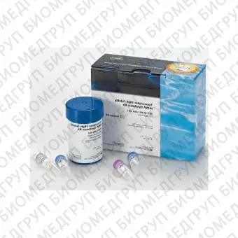 Набор Transcriptor High Fidelity cDNA Synthesis Kit для синтеза кДНК100 реакций