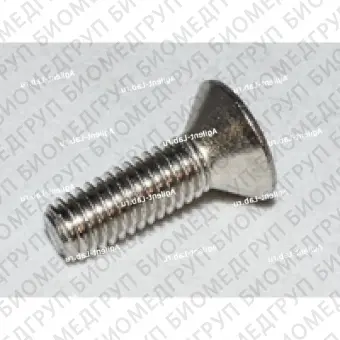 Винт 1032 x 5/8 FHHSC SS