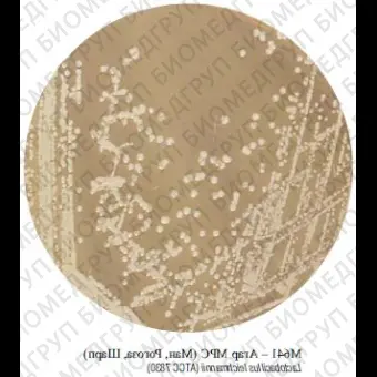 Агар МРС Ман, Рогоза, Шарп для лактобактерий гранулированный, 500 г ФСЗ 2009/03709