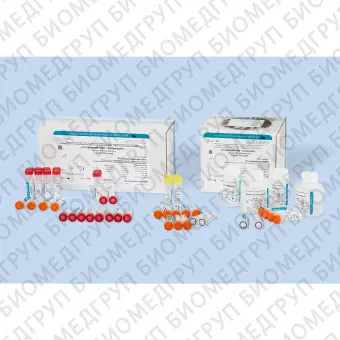 Набор АмплиСенс HBVМониторFL для количественонго определения. Нераскапанный, FRT 48F