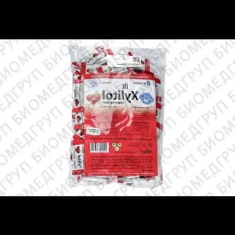 Жевательная резинка с ксилитом Xylitol Chewing Gum 100 х 2 шт, Fruit Свежие фрукты