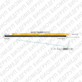 ДЛЯ КЛИЕНТОВ ЗА ПРЕДЕЛАМИ США. SureFISH 15q13.3 CHRNA7 123kb P20 RD