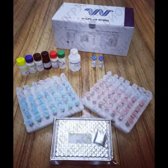 Экспресстест COVID19 IGRA ELISA