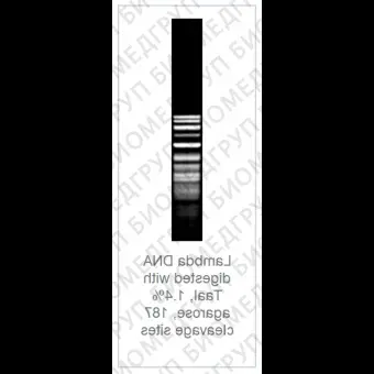 Эндонуклеаза рестрикции TaaI Fast Digest для ускоренного гидролиза ДНК, Fermentas, Thermo FS, FD1364, 20 реакций