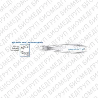 Щипцы для удаления зубов верхние моляры правые