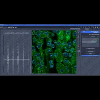 Программное обеспечение для цифровых микроскопов ZEN