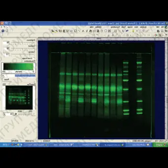 Медицинское программное обеспечение DocItLS