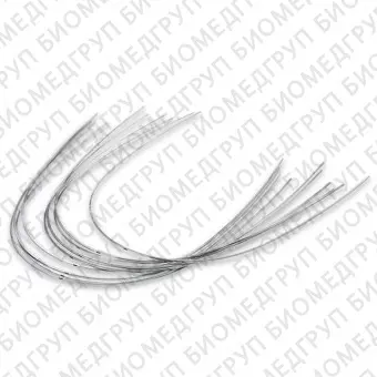 Дуги ортодонтические международная форма Нержавеющая сталь для нижней челюсти SS L .016x.022/.41x.56
