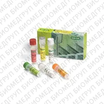 Набор iScript Select cDNA Synthesis Kit, BioRad, 1708897, 100x20 мкл реакций