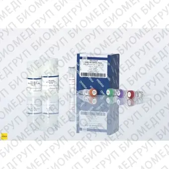 Набор FastLane Cell cDNA Kit 50, Qiagen, 215011, 50 реакций