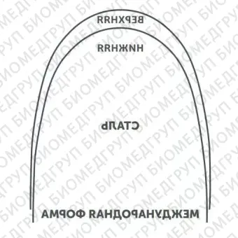 Дуги ортодонтические международная форма верхние INT NiTi TA U .014x.025/.36x.64