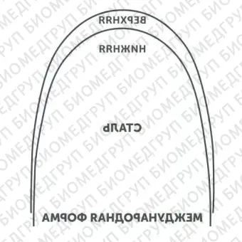Дуги ортодонтические международная форма Нержавеющая сталь для нижней челюсти SS L .019x.025/.48x.64
