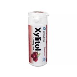 Жевательная резинка Xylitol Chewing Gum, клюква