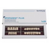 Spofadent Plus (В2) 1/32-0/2-1/74