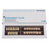 Spofadent Plus (В4) 62-0/11-1/62