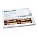 Spofadent Plus (В1) 1/48-0/6-1/72