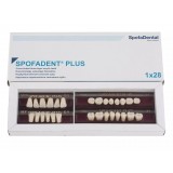 Spofadent Plus (С1) 1/23-0/7-1/60