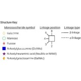 Стандарт N-гликанов AdvanceBio APTS Man7 / M7 (ранее ProZyme)