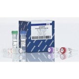 Набор OneStep RT-PCR Kit(1000 реакций)